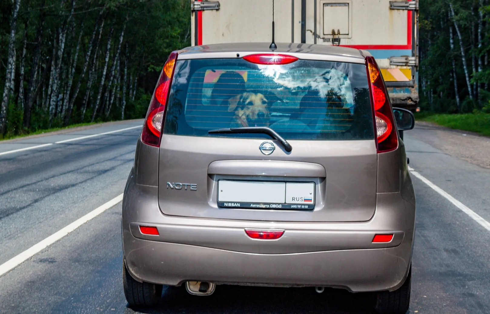 Смоленск, Автомобили, авто напрокат, прокат авто
